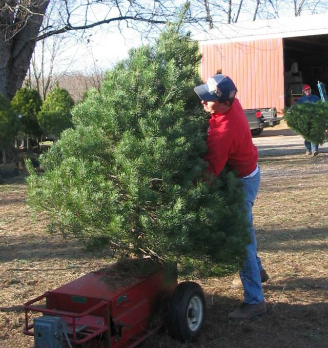 Alfeldt Brothers Farm LLC: farm photo