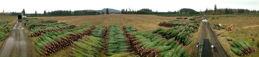 Hunter Family Farm: farm photo