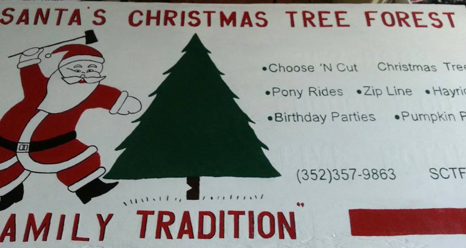 Santa’s Christmas Tree Forest: farm photo