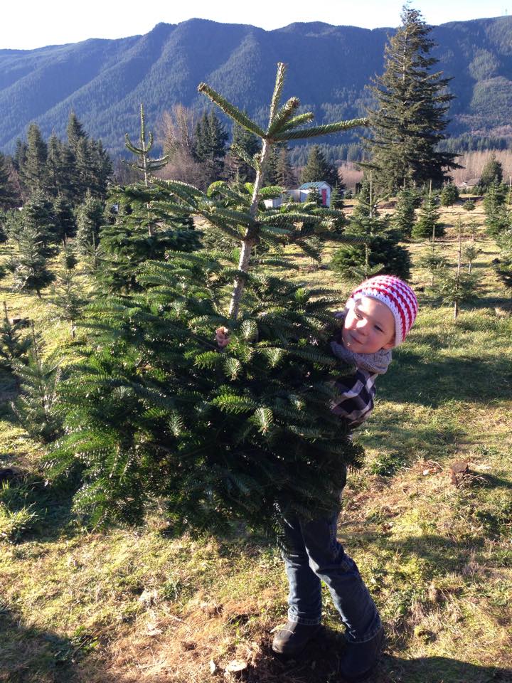Crown Christmas Tree Farm: farm photo