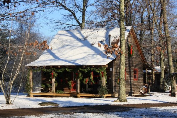 Charlie Brown's Christmas Tree Farm: farm photo