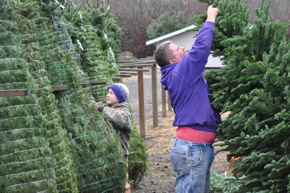 JP Landscape Tree Farm: farm photo