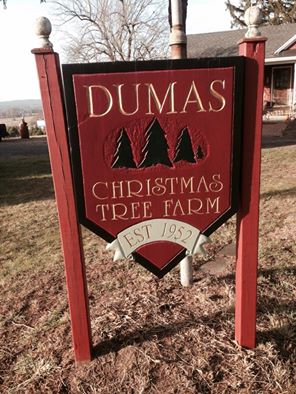 Dumas Christmas Tree Farm: farm photo