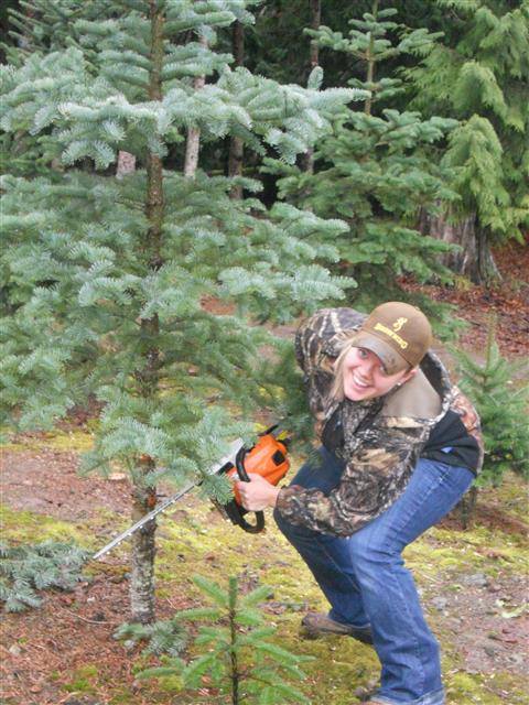 Holiday U-Cut Christmas Trees: farm photo