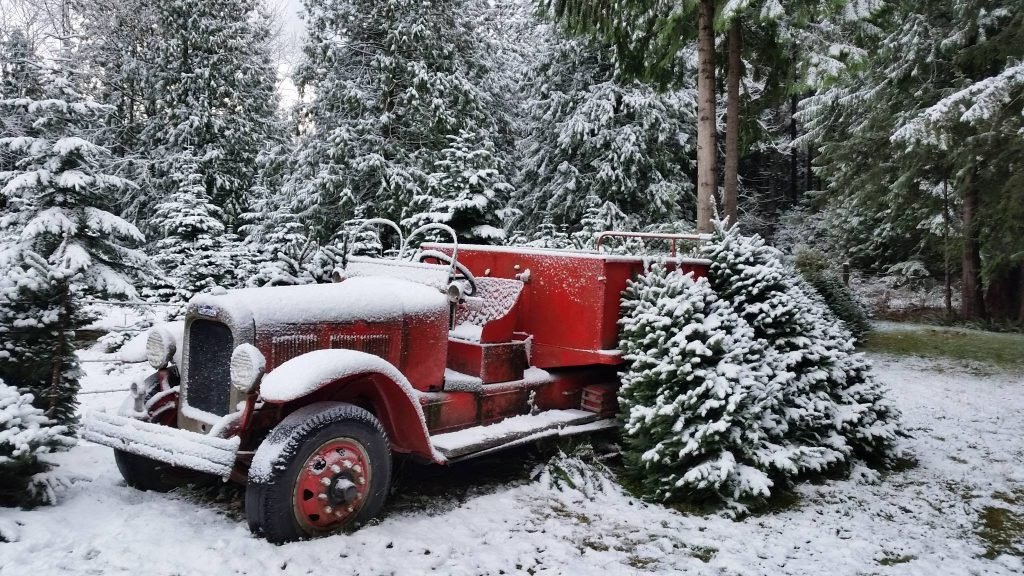 Keith & Scott Tree Farm: farm photo