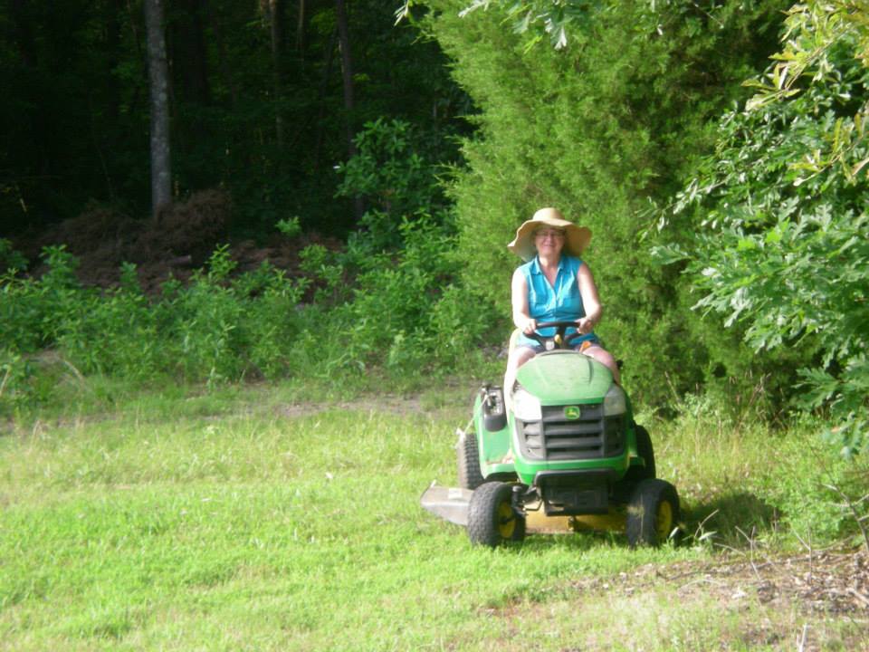 Mountain View Christmas Tree Farm: farm photo