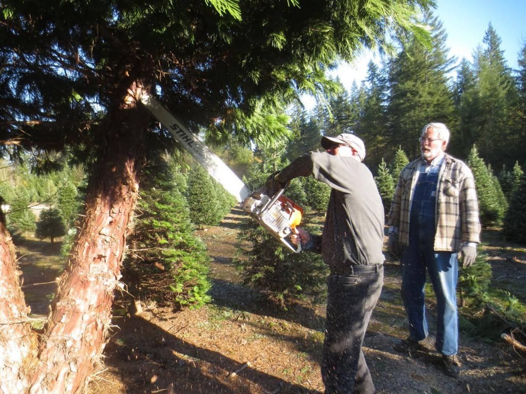 Clyde 'n Dale's Holiday Trees and Gifts: farm photo