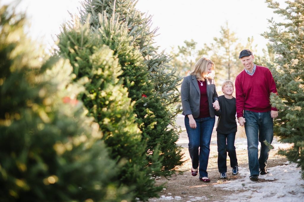 Heidrich’s Colorado Tree Farm Nursery LLC: farm photo