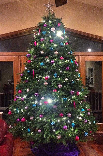 Anderson Christmas Tree Farm: farm photo