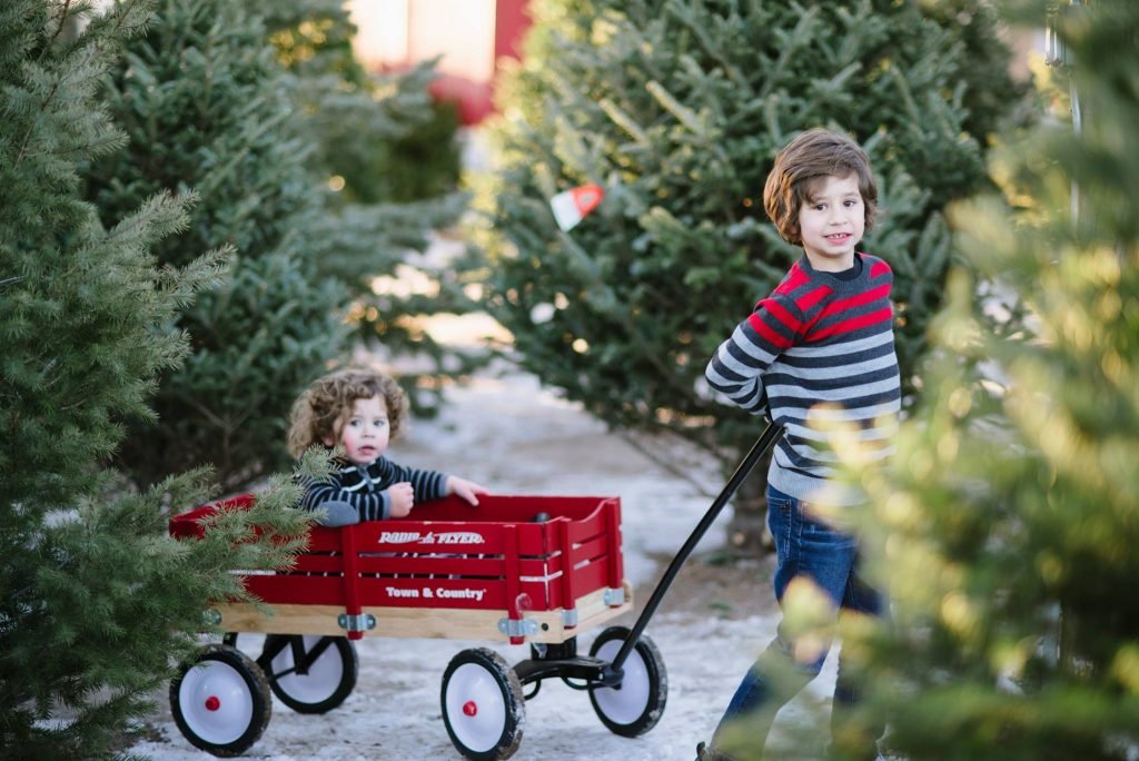 Heidrich’s Colorado Tree Farm Nursery LLC: farm photo