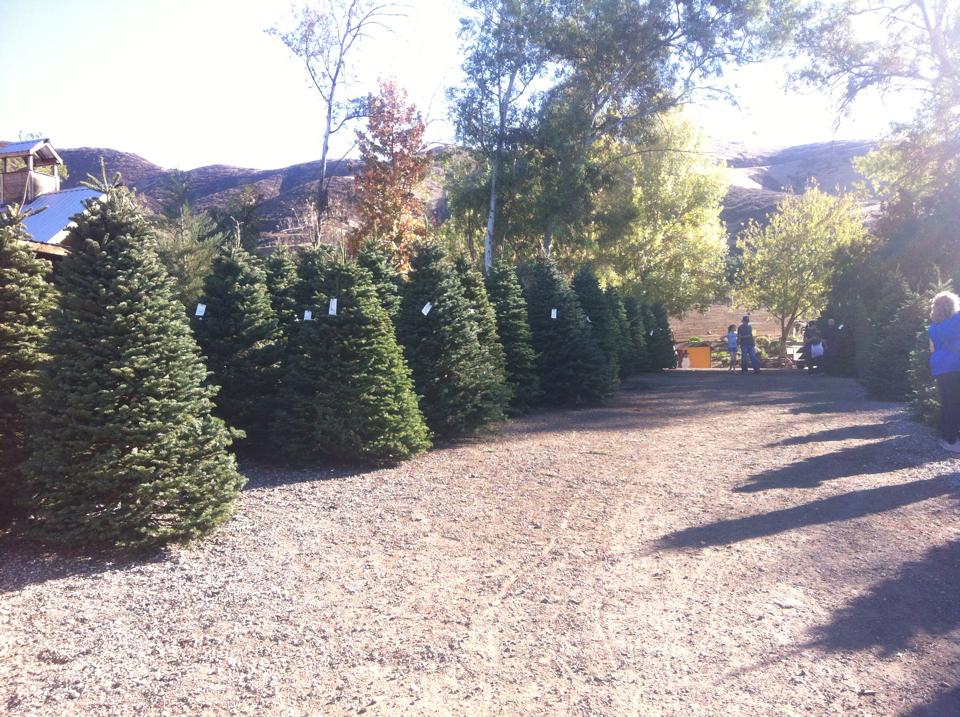 Greenspot Farms: farm photo