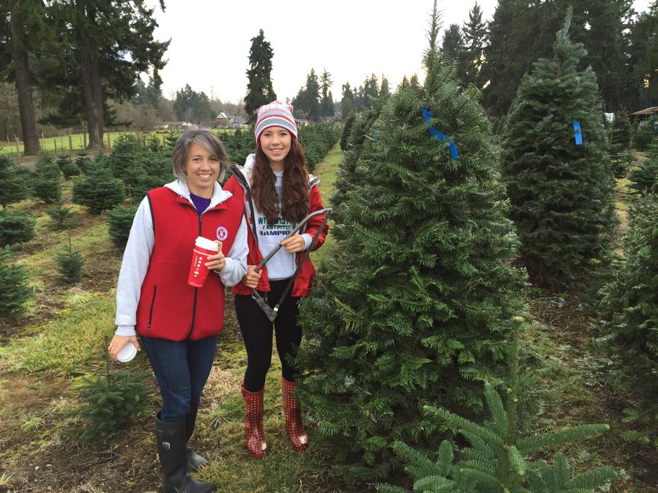 Double Four Tree Farm: farm photo