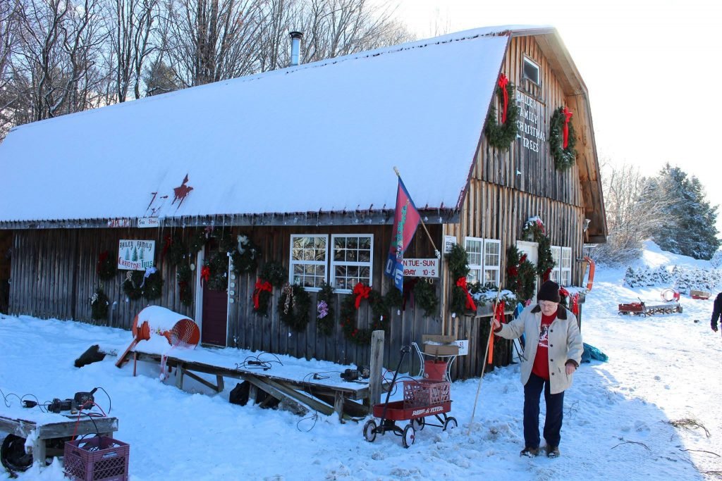 Bailey Family Christmas Trees: farm photo