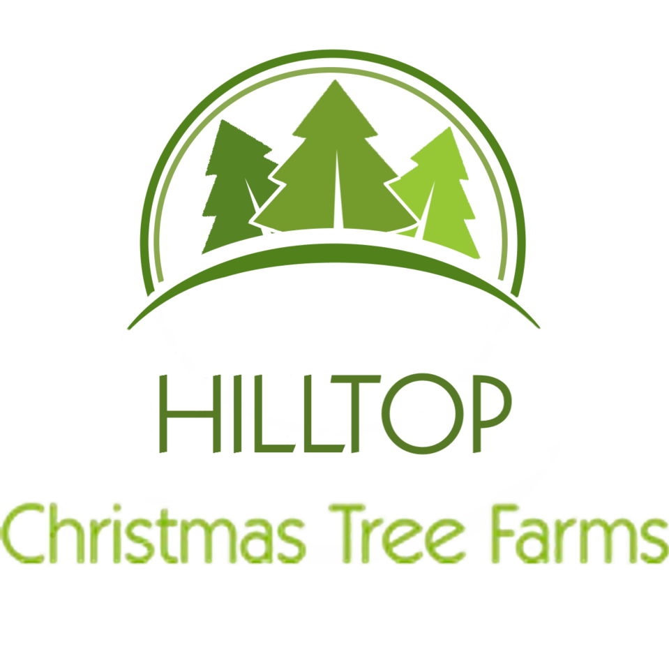 Hilltop Tree Farm: farm photo