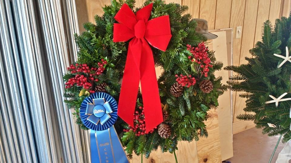 Bengtson Christmas Tree Farm: farm photo