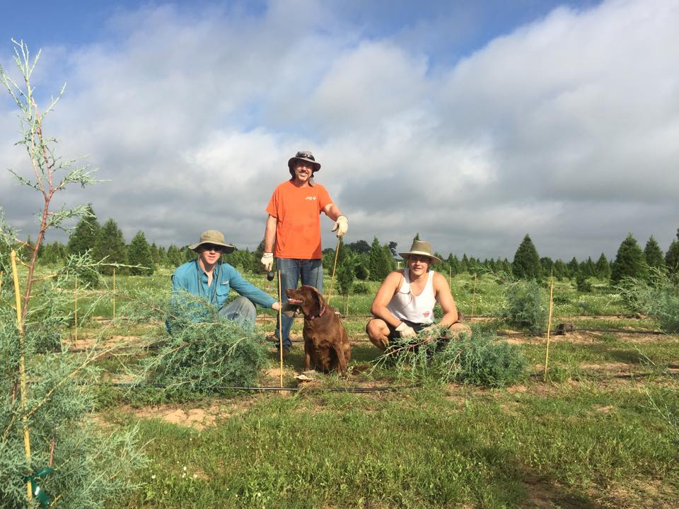 Devine Acres Farm: farm photo
