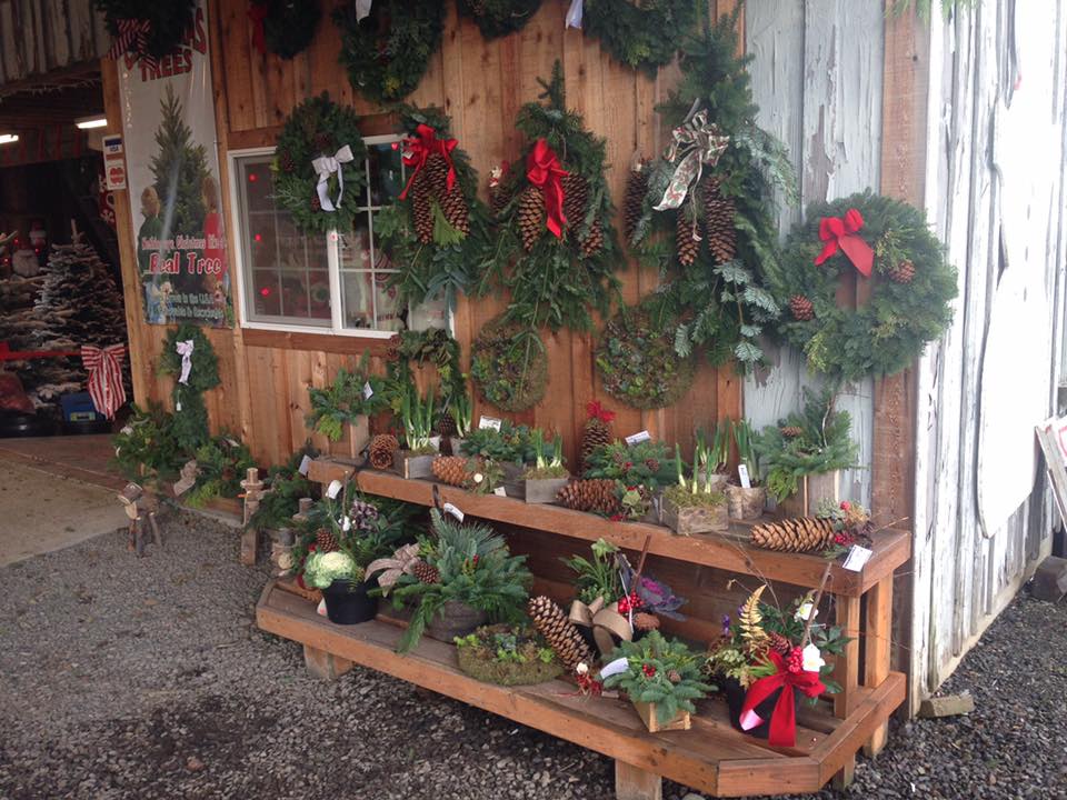 Bobz Garden Center: farm photo