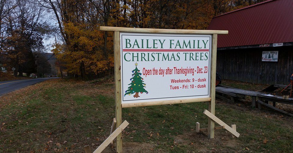 Bailey Family Christmas Trees: farm photo