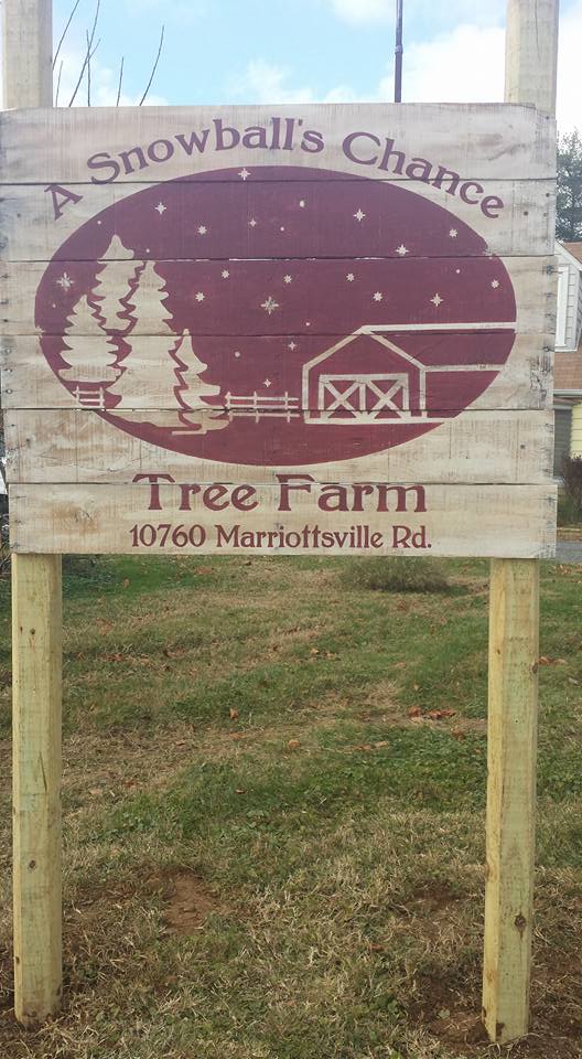 A Snowball's Chance Tree Farm: farm photo