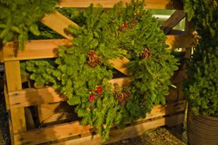 CreekSide Tree Nursery: farm photo