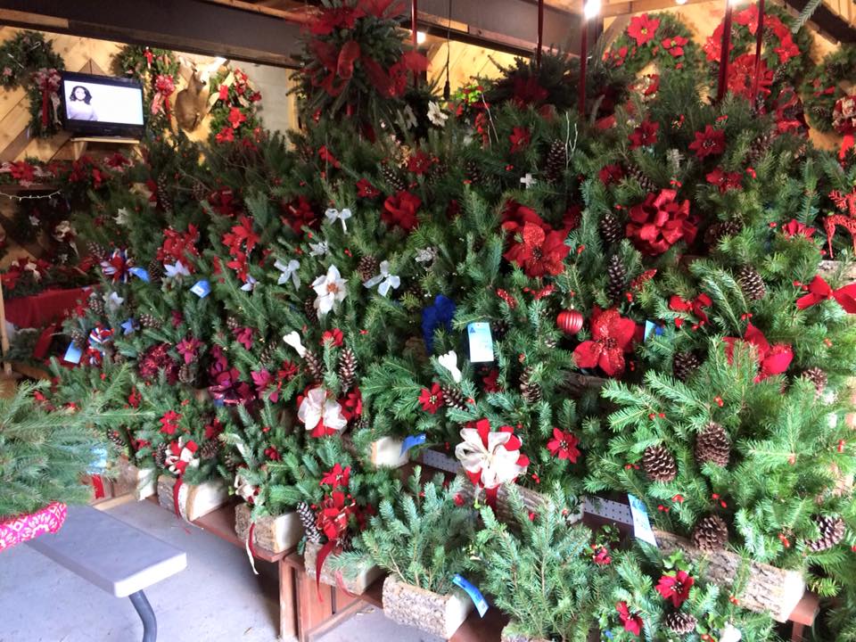 Walker’s Tree Farm: farm photo