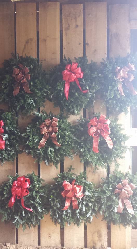 A Snowball's Chance Tree Farm: farm photo