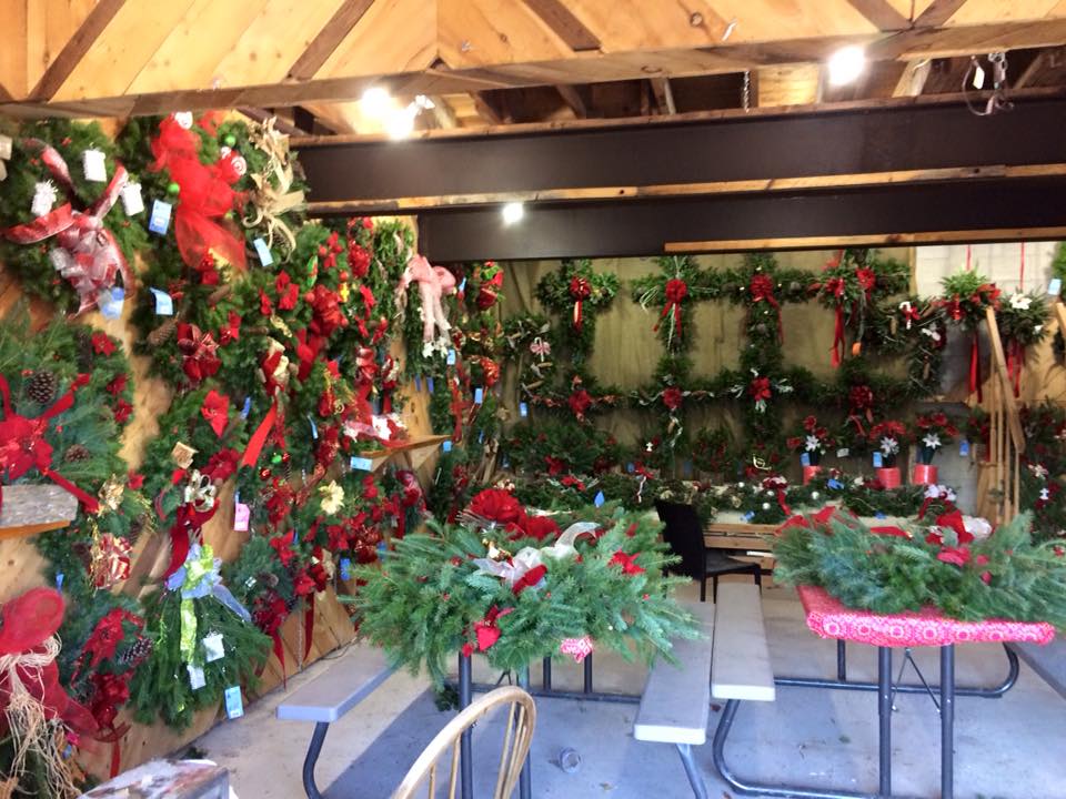 Walker’s Tree Farm: farm photo