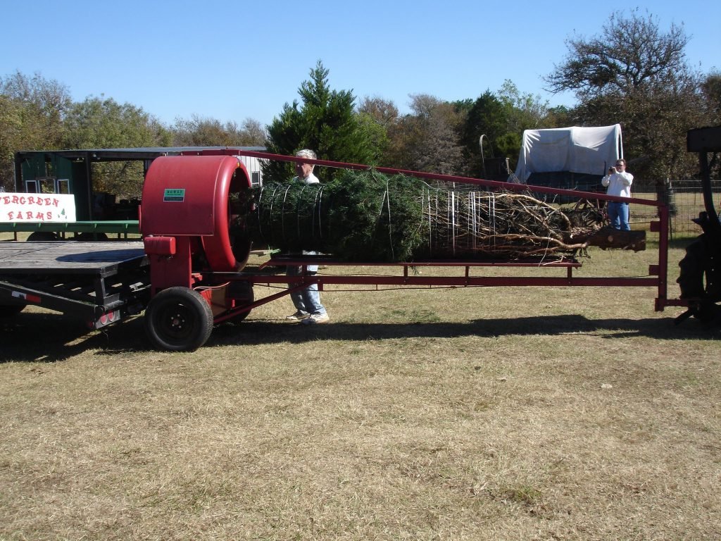 Evergreen Farms Christmas Trees: farm photo