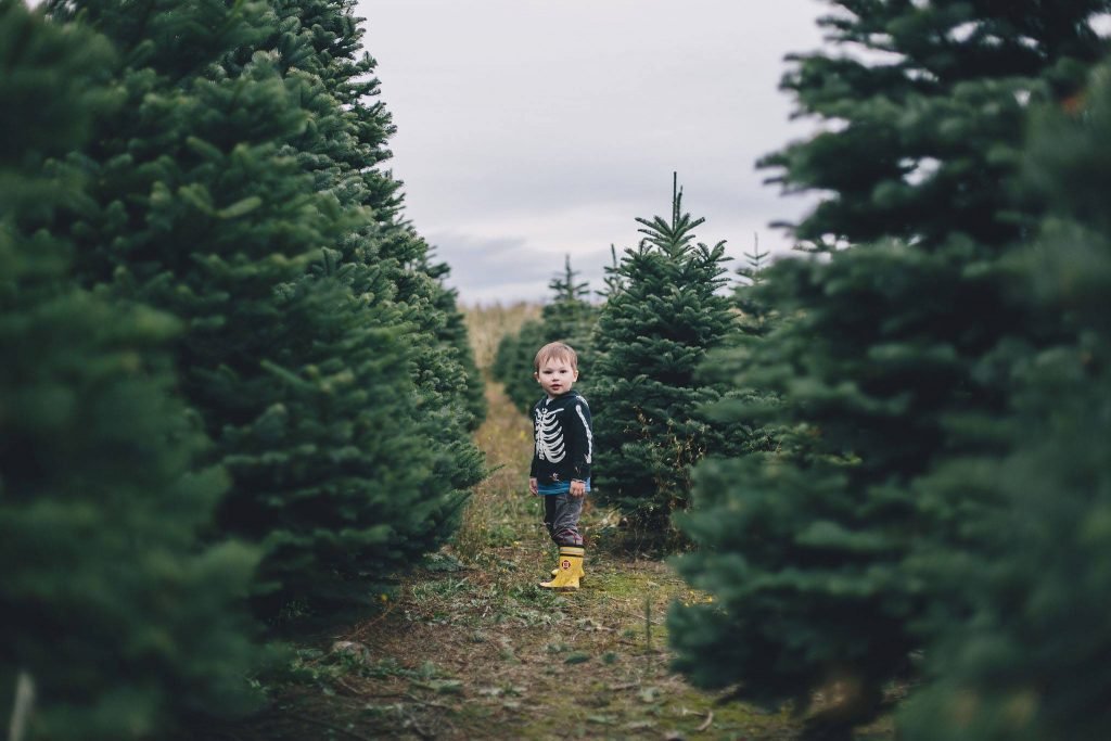 Hunter Family Farm: farm photo