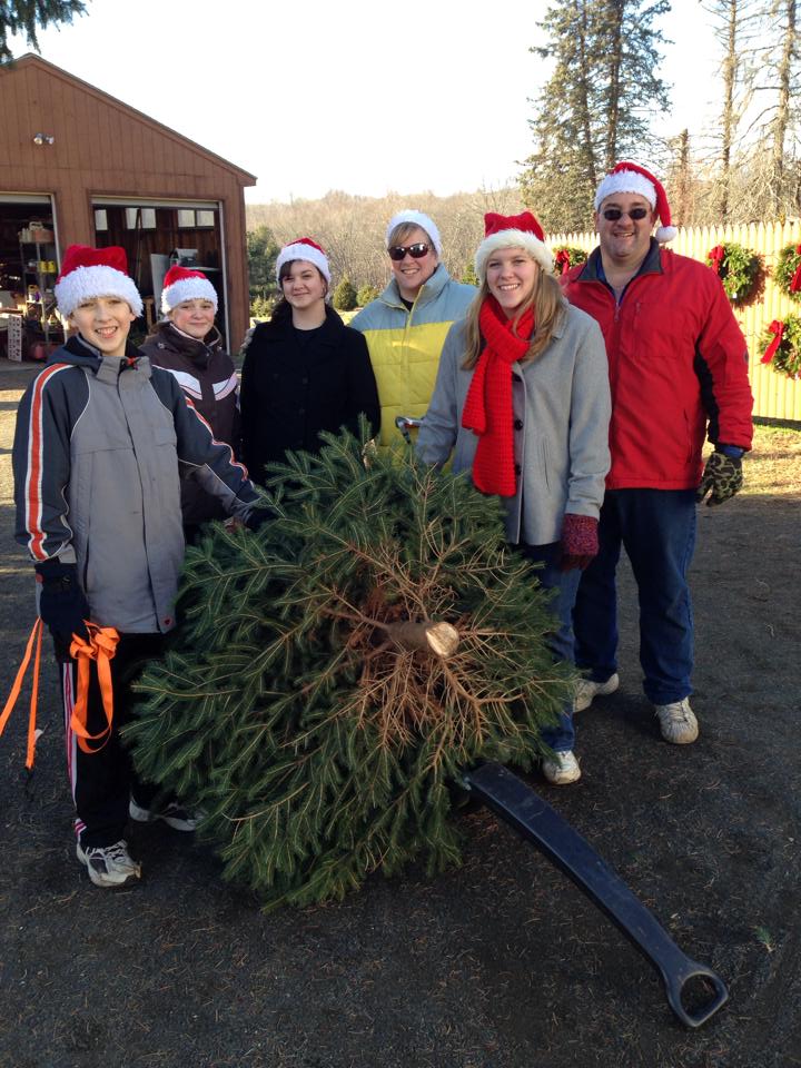 Schrempp's Christmas Tree Farm: farm photo