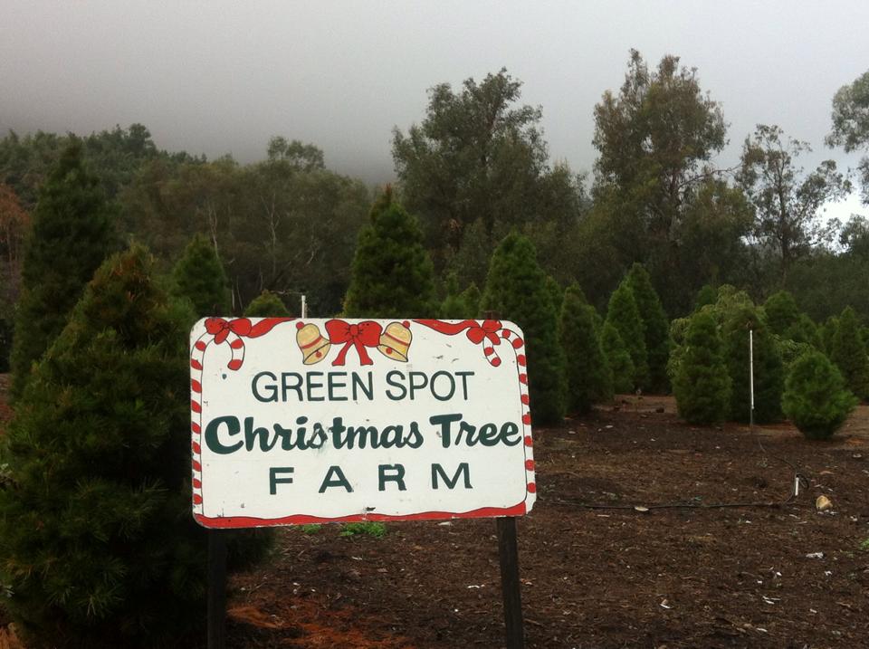Greenspot Farms: farm photo