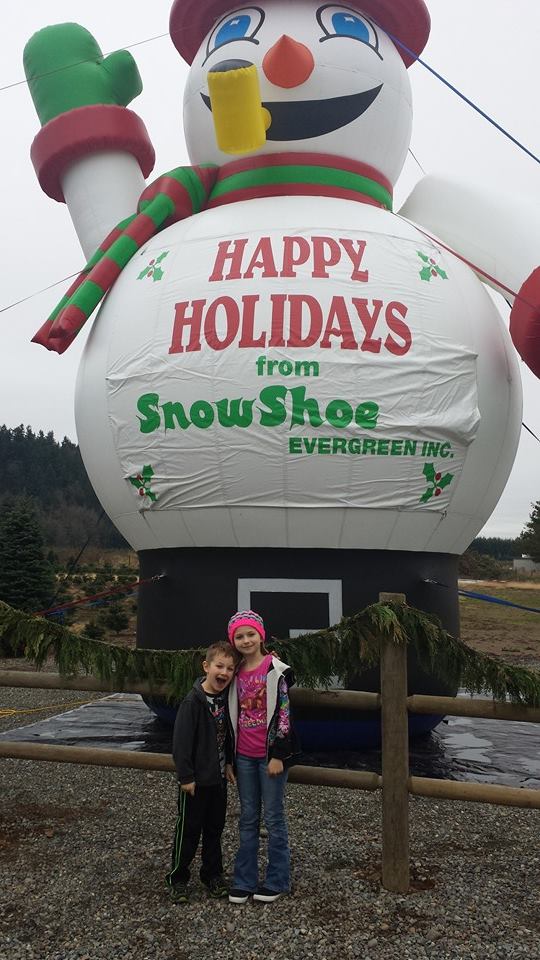 Snowshow Evergreen U-Cut Christmas Trees Farm: farm photo