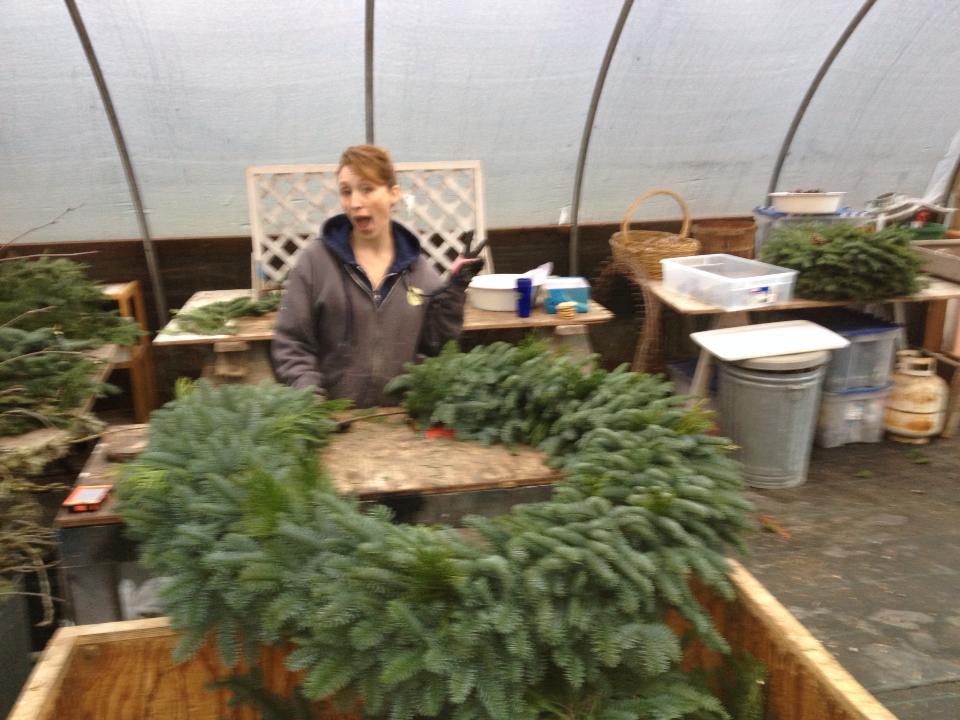Wilson Hill Tree Farm & Nursery: farm photo