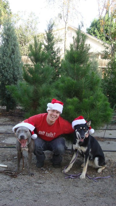 Christmas Ranch Tree Farms – Simi Valley: farm photo