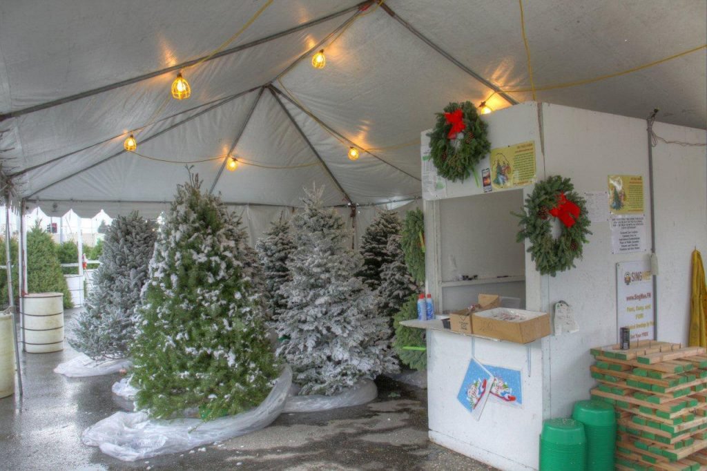 ABC Tree Farms LLC: farm photo