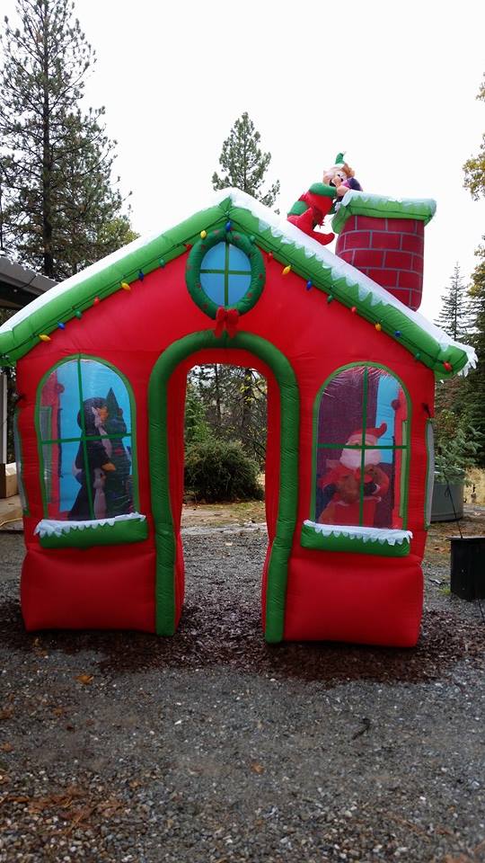 Cal Sierra Tree Farm: farm photo
