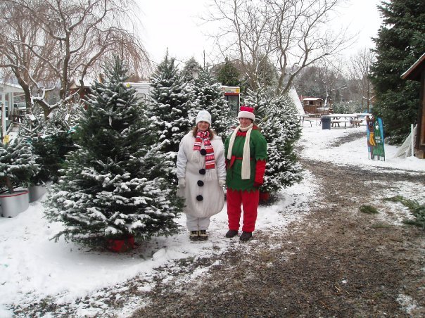 Walker’s Tree Farm: farm photo