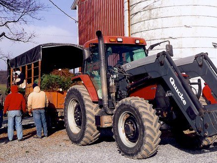 Valley View Christmas Tree Farm: farm photo
