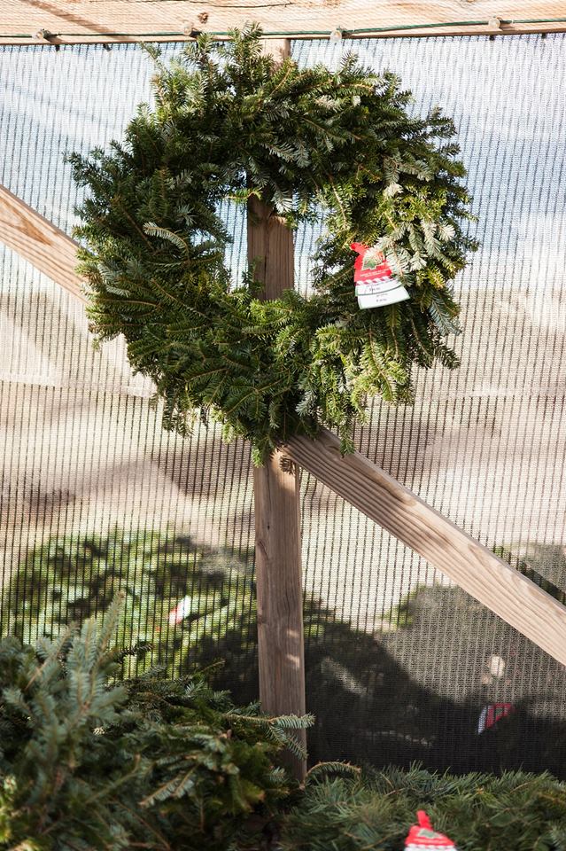 Heidrich’s Colorado Tree Farm Nursery LLC: farm photo
