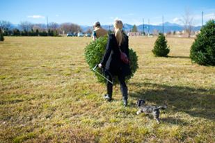 CreekSide Tree Nursery: farm photo