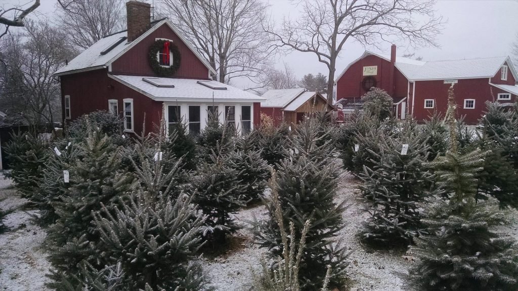Jones Family Farms: farm photo