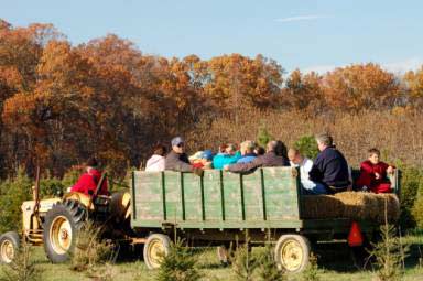 Blue Heron Farm: farm photo