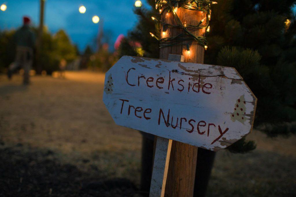 CreekSide Tree Nursery: farm photo