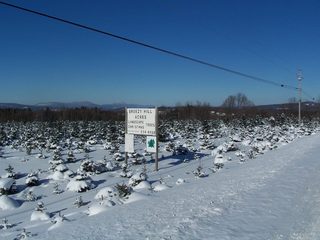 Breezy Hill Acres: farm photo