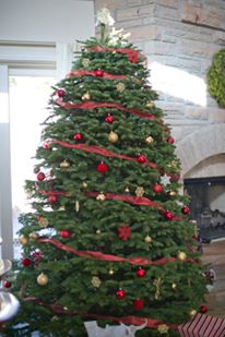 CreekSide Tree Nursery: farm photo