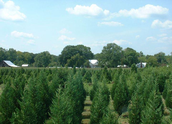 Old Baker Farm: farm photo