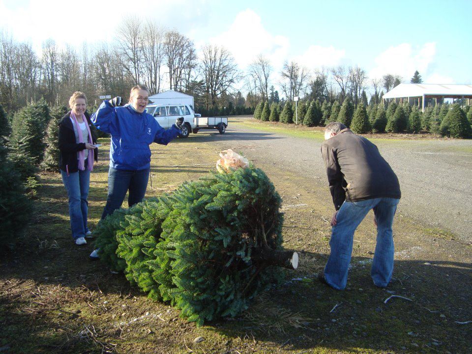 Thorntons' Treeland: farm photo