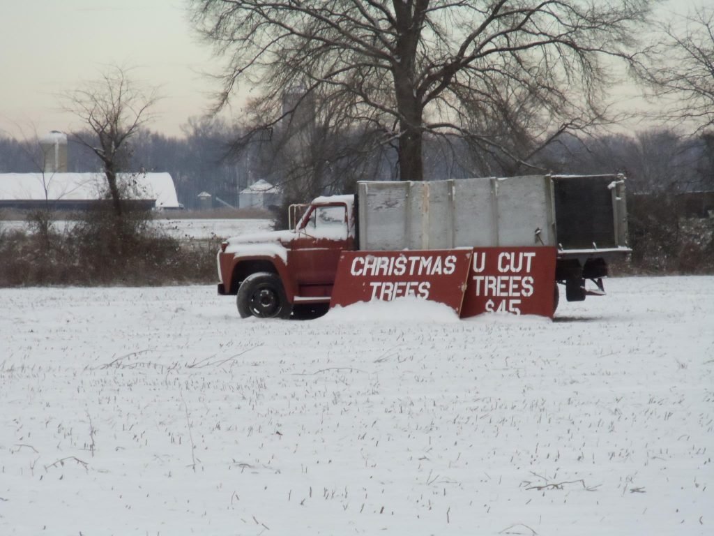 Cardinal Woods Farms: farm photo
