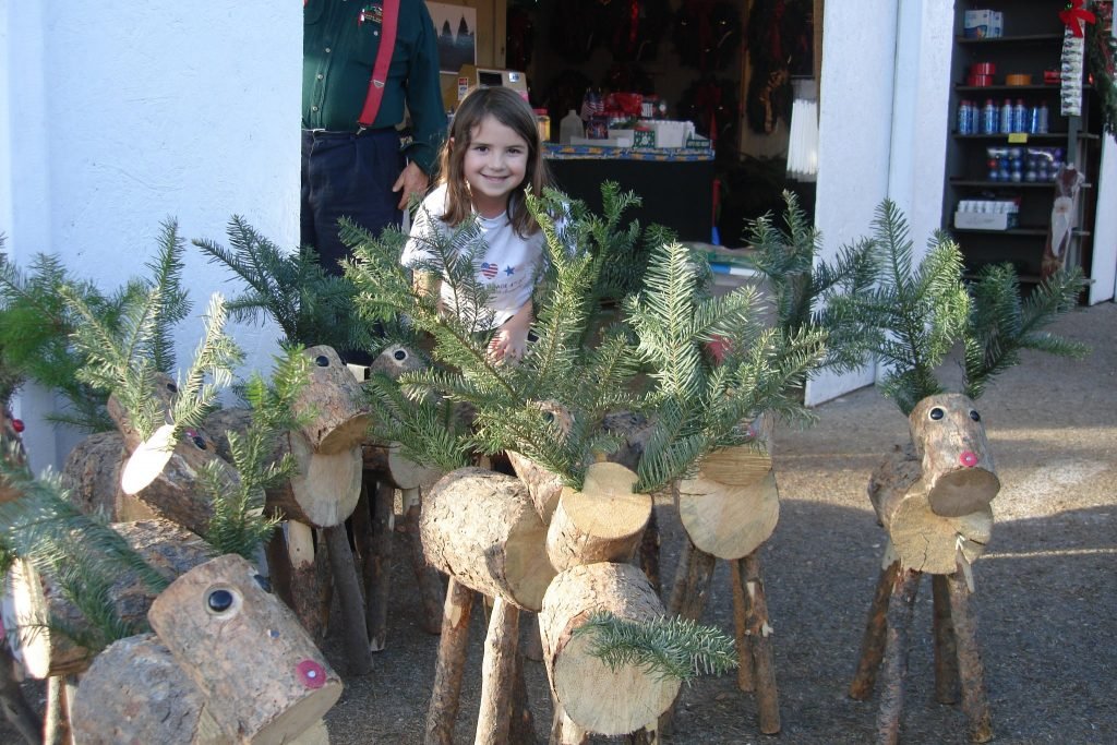 Anthony's Christmas Trees and Wreaths, Inc.: farm photo