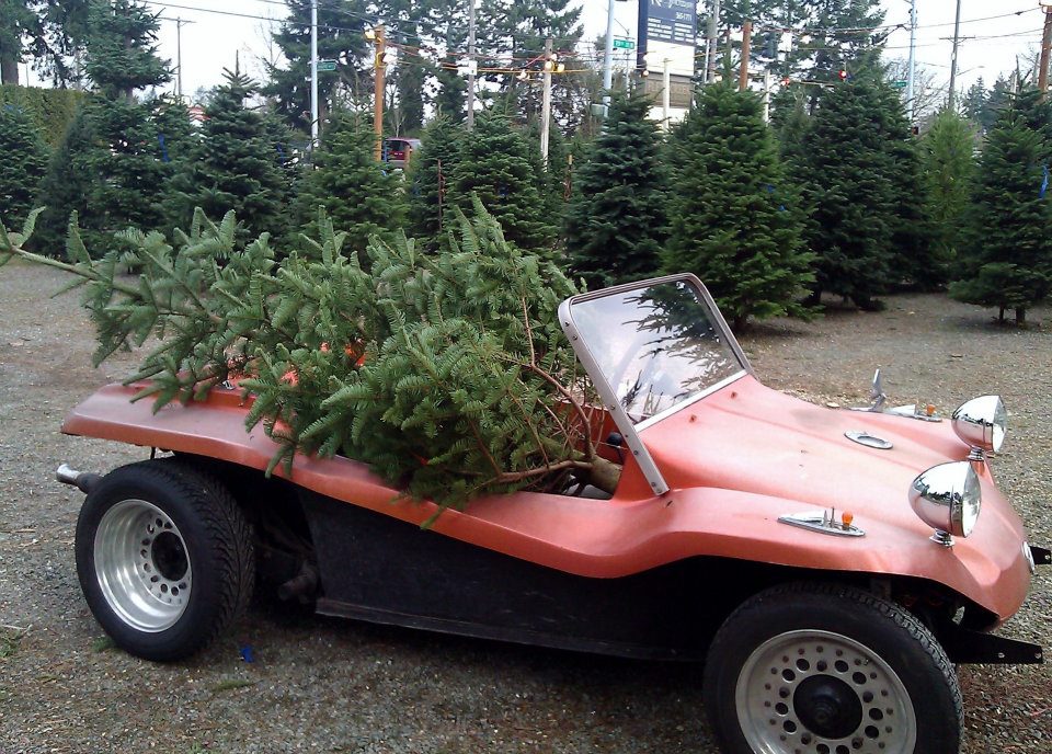 Menefees Christmas Trees Lakewood/University Place: farm photo